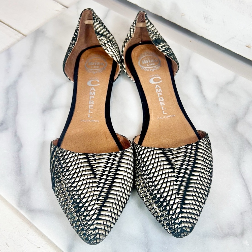 Jeffrey Campbell California Embroidered Pointed Toe Ord’say Flats
